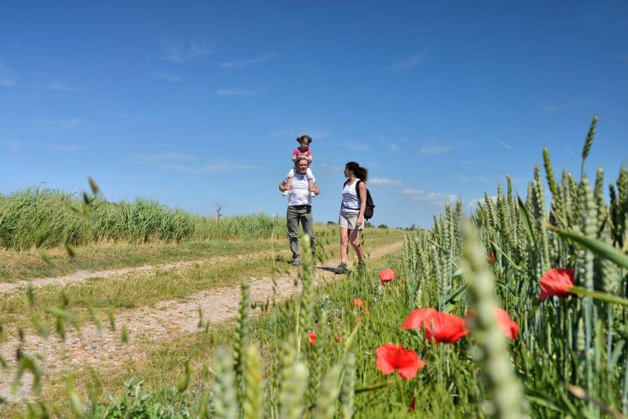 balade famille l’Aiguillon-sur-Mer